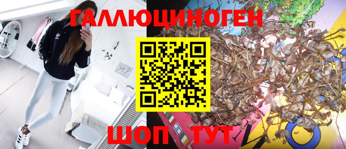Заинск  Псилоцибиновые грибы мицелий  купить наркотики сайты  Вход с VPN  Галлюциногенные грибы Magic Shrooms 